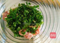 菠菜水饺的做法图解6