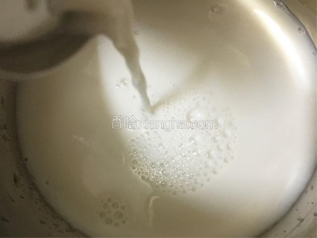 椰奶倒入小锅中