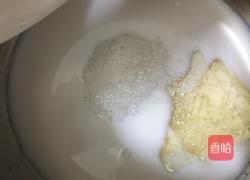 木瓜椰子冻的做法图解5