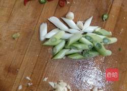 皮蛋的做法图解4