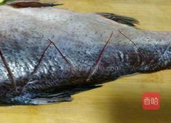 红烧鲢鱼的做法图解2