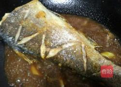红烧鲢鱼的做法图解11
