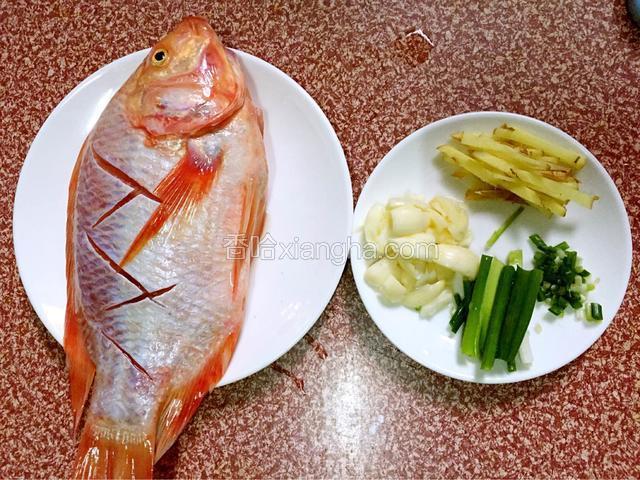 彩云雕鱼去鳞去内脏去腹黑流水冲净干净后在鱼身上横切几刀用盐腌制半小时，姜切丝，蒜拍扁，葱一半切葱段、一半切葱花备用
