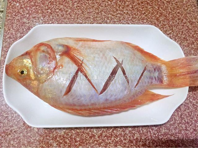 然后把彩云雕鱼放进去