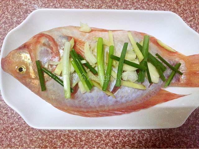 最后在彩云雕鱼上面放上姜丝、蒜、葱段