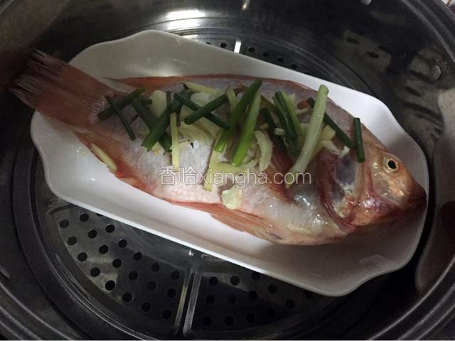 锅中倒入适量的清水烧开后把鱼放进去，大火蒸15-20分钟