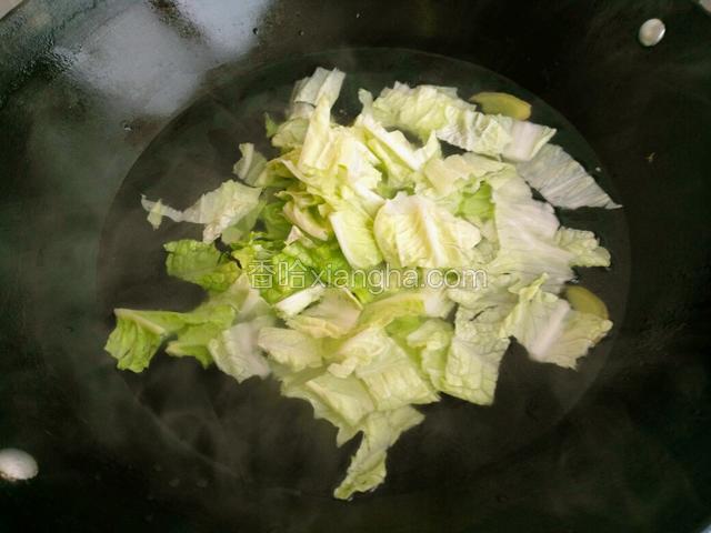 这就是最关键啦，我把白菜用米醋和盐腌制一小时，然后在打一个水焯。（因为我的盐放太多啦，就打个水焯）