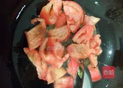 西红柿鸡蛋盖浇面的做法图解8