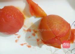 茄汁的做法图解4