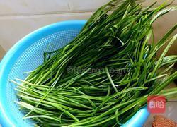 韭菜鸡蛋虾仁饺子馅的做法图解1