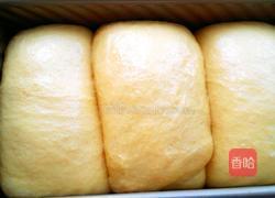 胡萝卜吐司面包的做法图解14