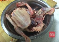 清炖乳鸽的做法图解1