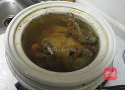 清炖乳鸽的做法图解6