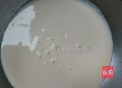 水果酸奶冰淇淋的做法图解4