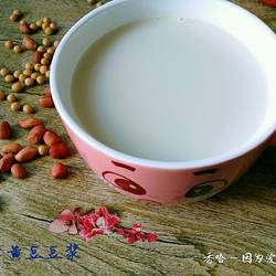 花生黄豆豆浆的做法[图]