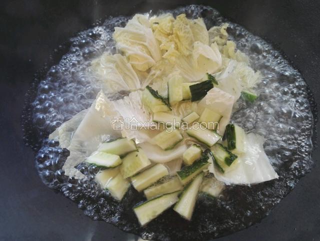 锅里水烧开放入白菜和黄瓜焯一下