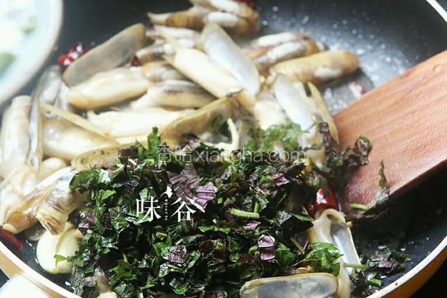倒入紫苏，翻炒至蛏子壳开，再加入少许盐、糖翻炒均匀。