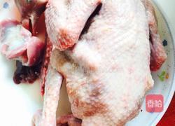 清炖乳鸽的做法图解1