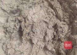 小熊饼干的做法图解8