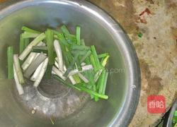 胡萝卜炖乌鸡的做法图解6