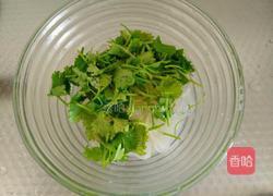香菜粉皮的做法图解6
