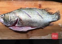 清蒸桂鱼的做法图解1