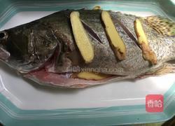 清蒸桂鱼的做法图解3