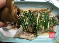 清蒸桂鱼的做法图解10