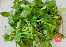 荆芥面托的做法图解1