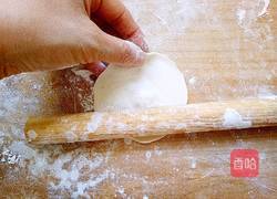 绿萝卜猪肉大馅水饺的做法图解16