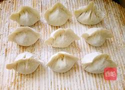 绿萝卜猪肉大馅水饺的做法图解21