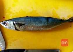 鲅鱼头炖豆腐的做法图解1