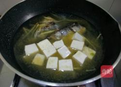鲅鱼头炖豆腐的做法图解8