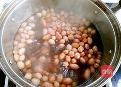猪脚花生的做法图解6