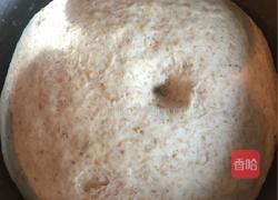 全麦坚果面包的做法图解5