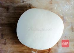 白菜猪肉馄饨的做法图解1