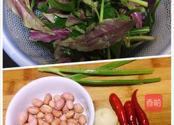 凉拌紫背菜的做法图解1