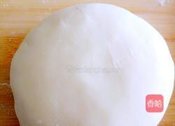 猪肉香菜水饺的做法图解4