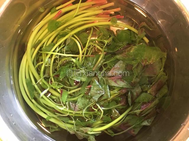 苋菜洗净，开水中焯烫一下，过凉水沥干水分。