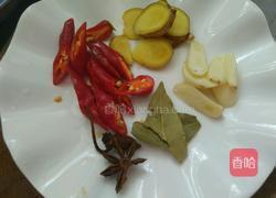 红烧鹅肉的做法图解2