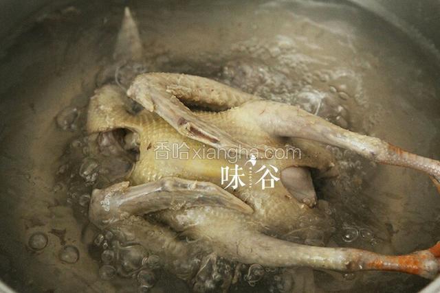 浇开水，水中加少许料酒，将鸽子放入，去血水去沫，捞出，待用；