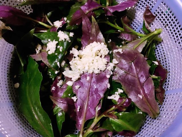 紫背菜去除老干洗净，蒜宰成蒜蓉倒在菜上面