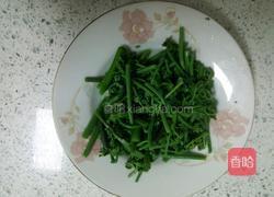 珍选捞汁蕨菜的做法图解3