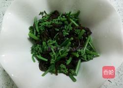 珍选捞汁蕨菜的做法图解6