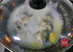 白汤鲫鱼的做法图解6