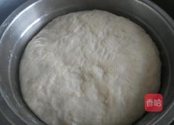 胡萝卜木耳包子的做法图解7