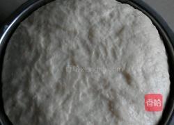 胡萝卜木耳包子的做法图解8