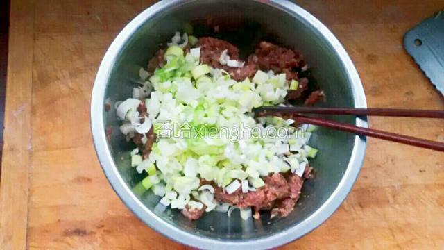 然后放入牛肉馅中，加入调料油或香油，盐，酱油，姜末拌匀备用