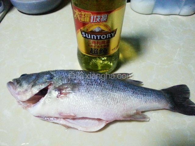 准备好鲈鱼和啤酒
