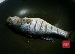 啤酒鱼的做法图解3